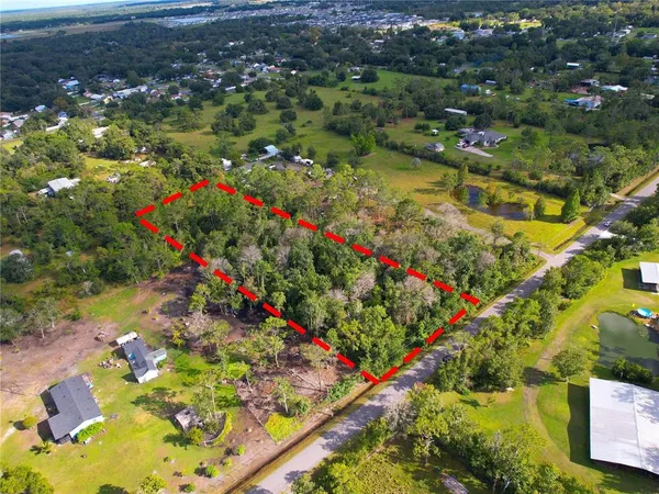 a view of a tree with a flower