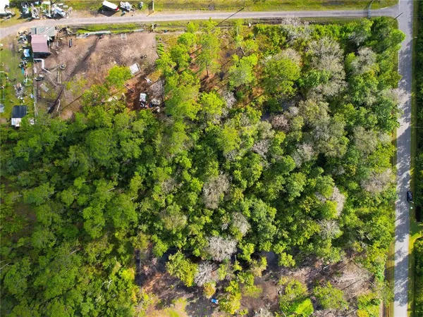 a view of a flower garden