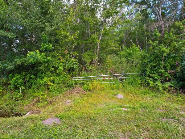 a view of a yard with potted plants