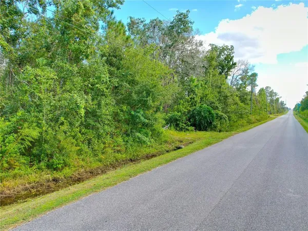 a view of a yard and basketball court