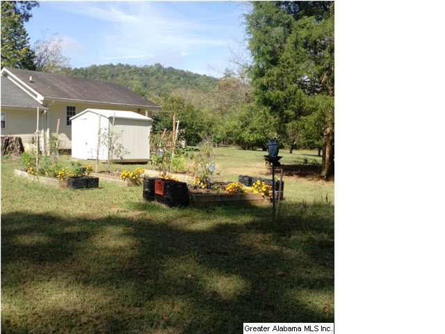 8375 Zuber Road Springville, AL 35146 - Photo 22 of 22