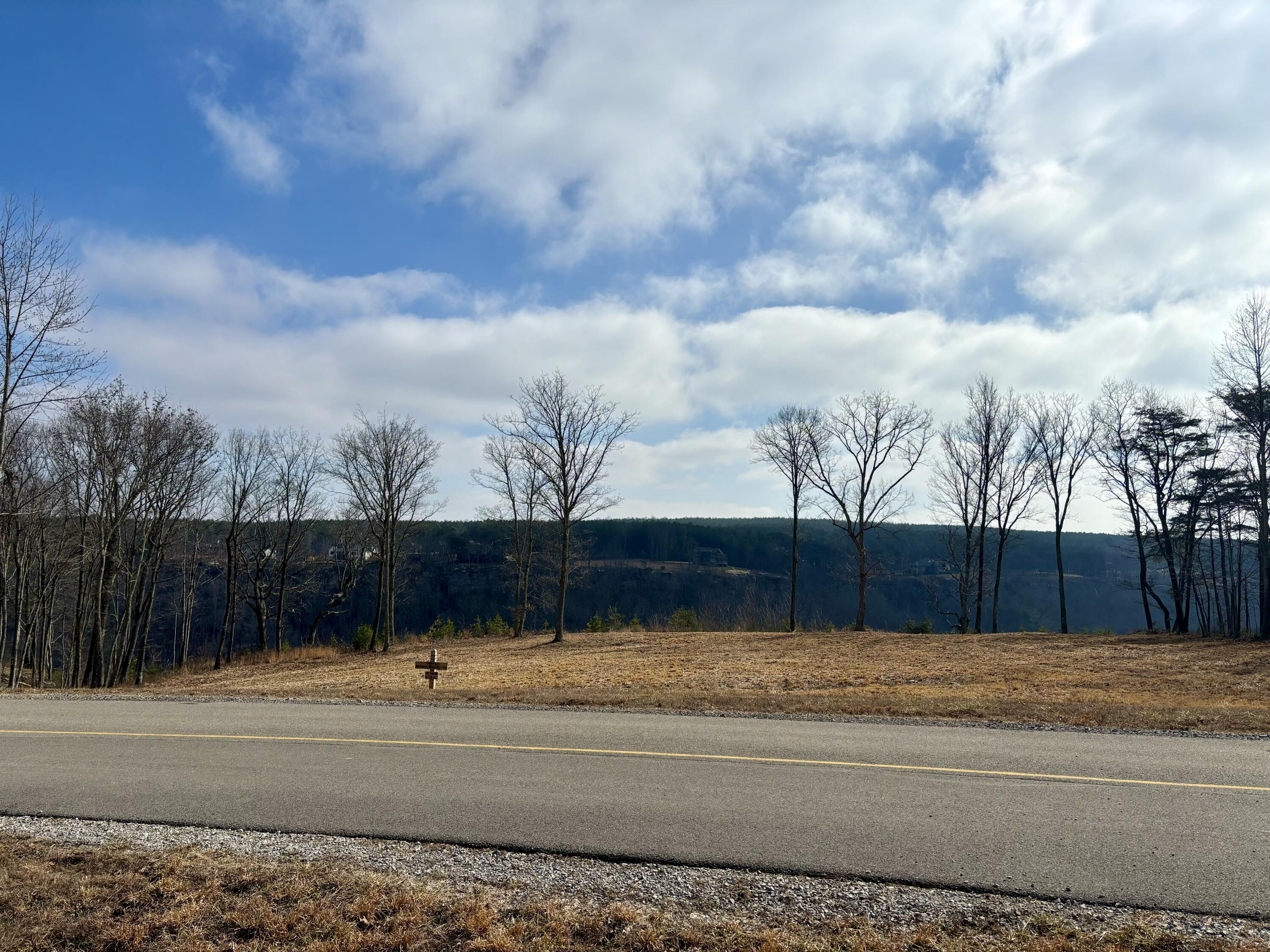 430 Crockett Loop Jasper, TN 37347 - Photo 1 of 22 View from your future home!
