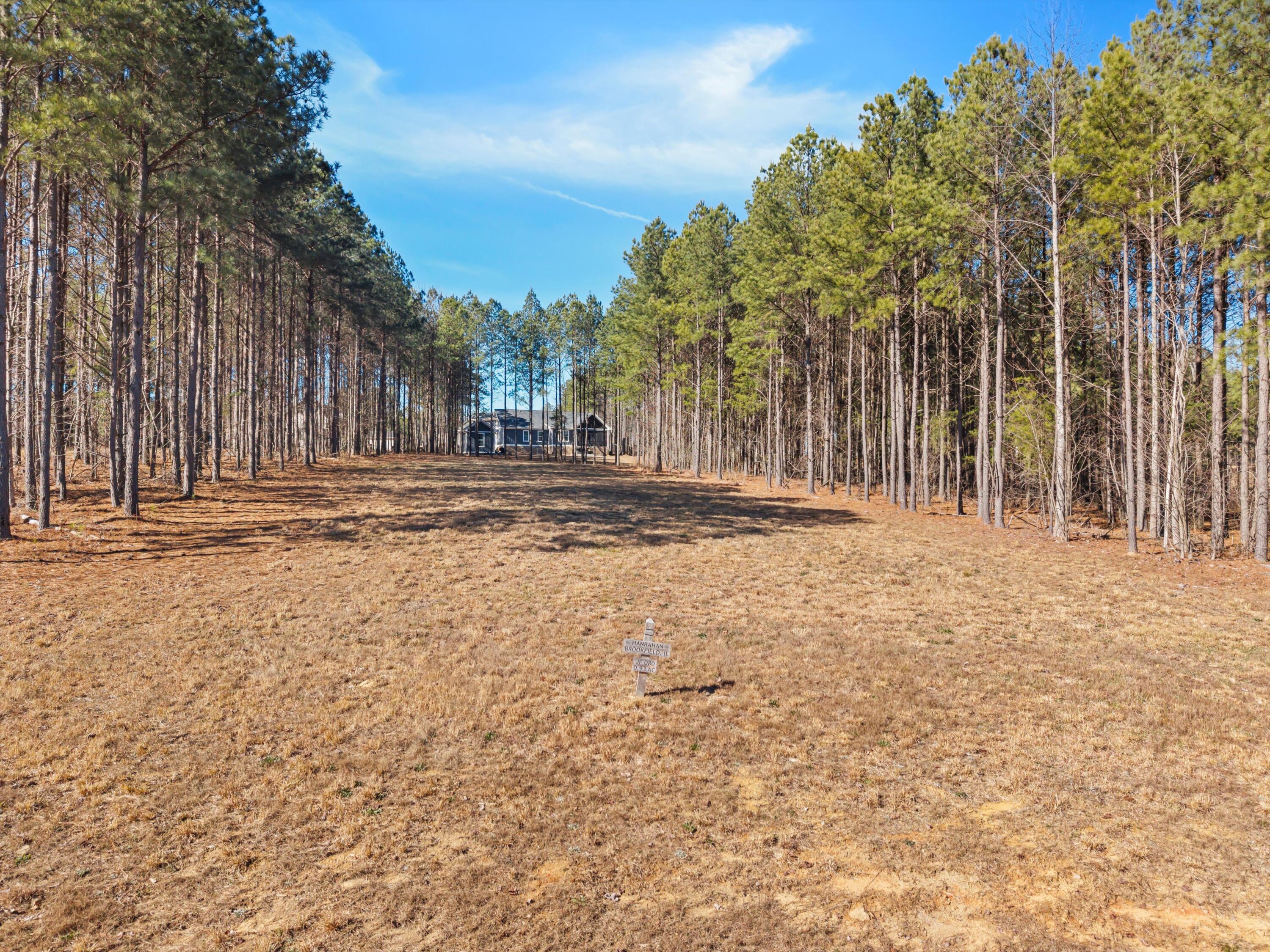430 Crockett Loop Jasper, TN 37347 - Photo 3 of 22 Crockett Loop