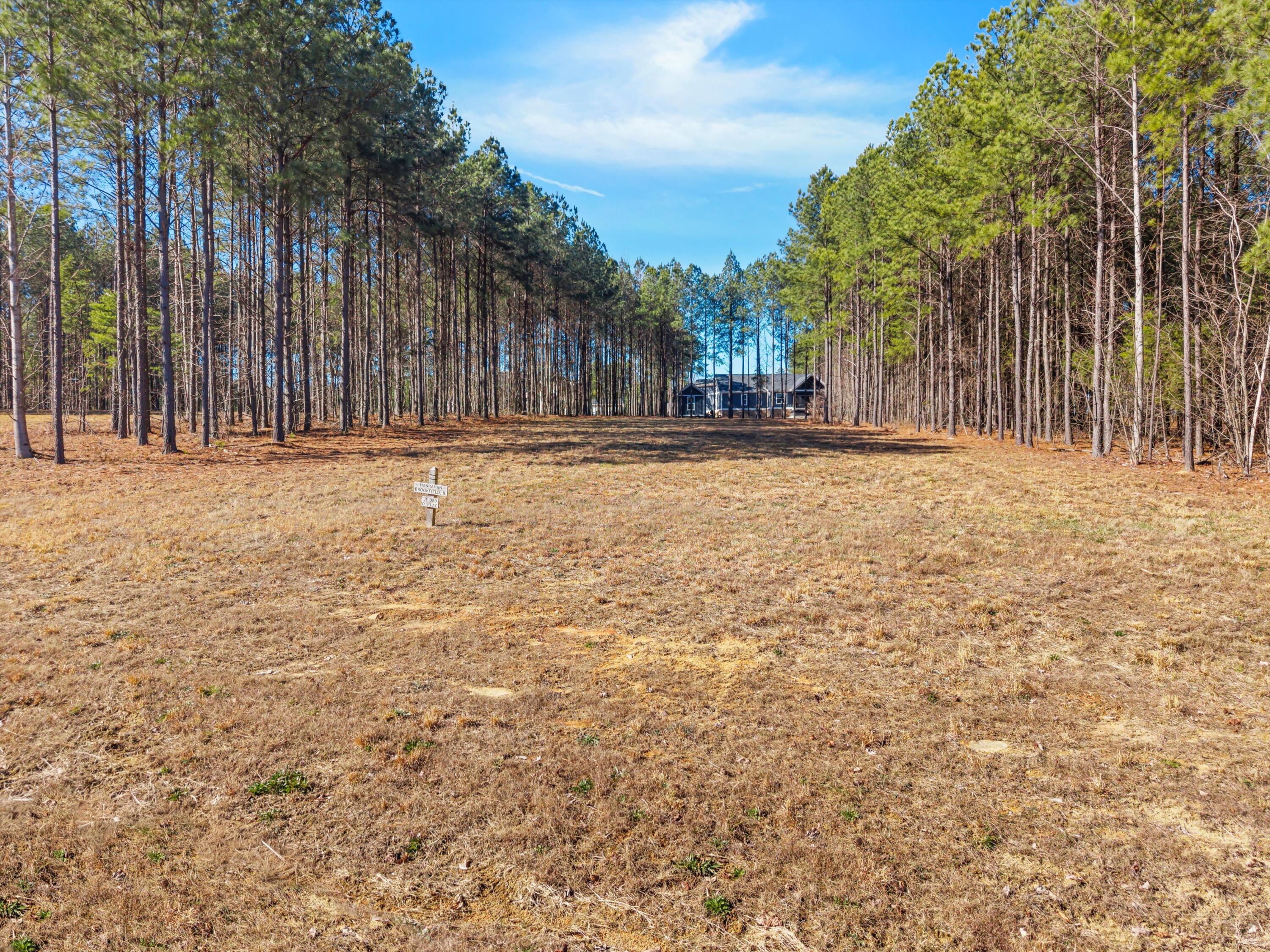 430 Crockett Loop Jasper, TN 37347 - Photo 3 of 19 Crockett Loop
