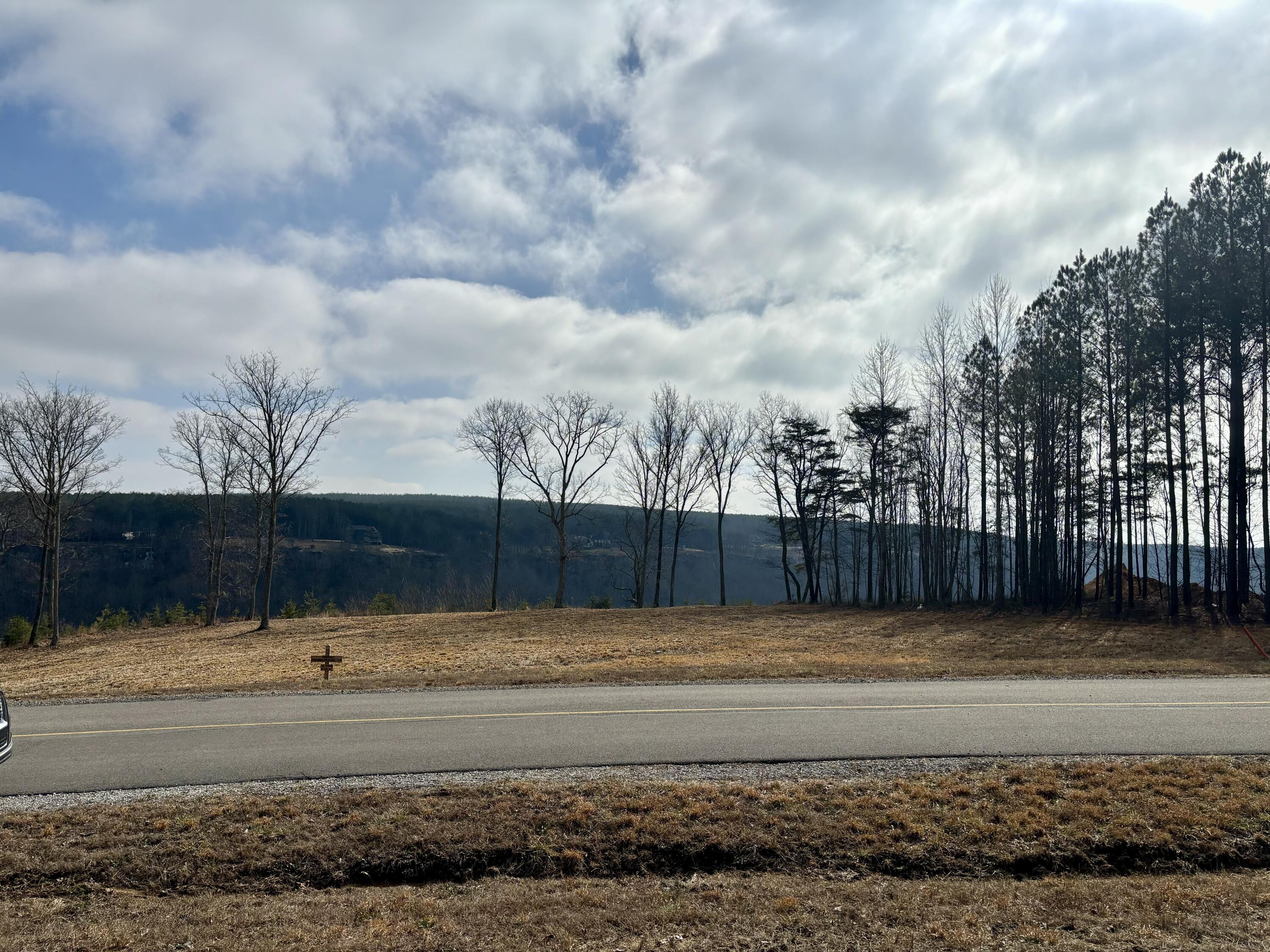 430 Crockett Loop Jasper, TN 37347 - Photo 5 of 22 View from your lot
