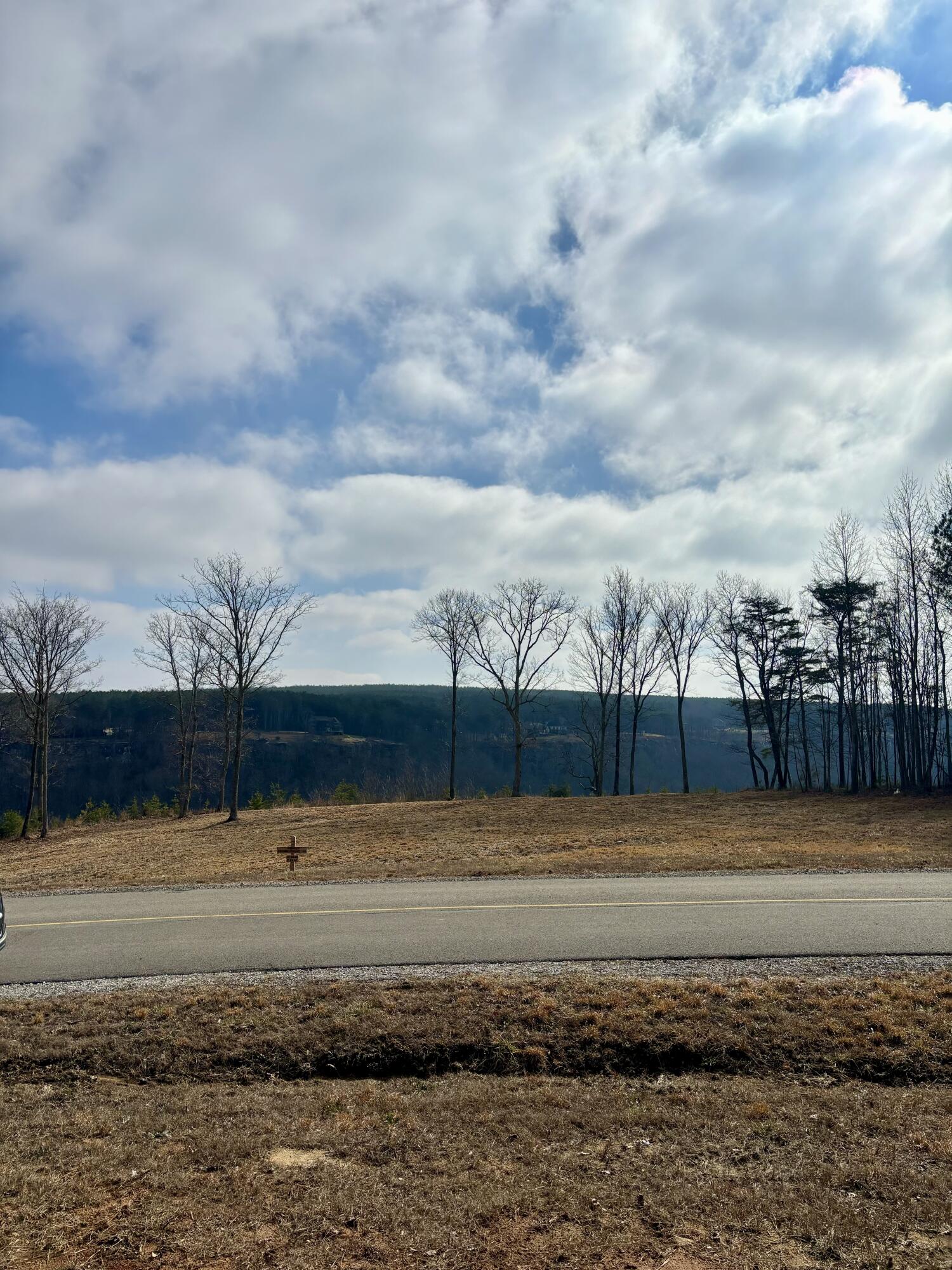 430 Crockett Loop Jasper, TN 37347 - Photo 6 of 22 View from your lot