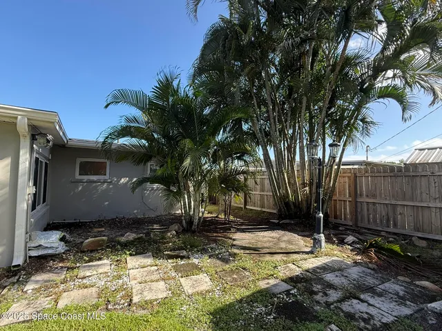 a view of backyard with potted plants and large tree
