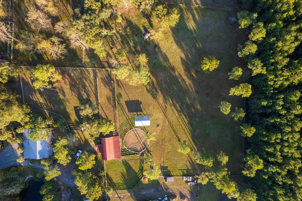3659 Rountree Brg Road Adel, GA 31620 - Photo 14 of 67 Gallery Image 14