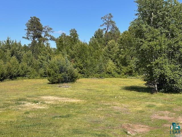 1383 Kelly Trail Isabella, MN 55607 - Photo 25 of 40 View of wooded area