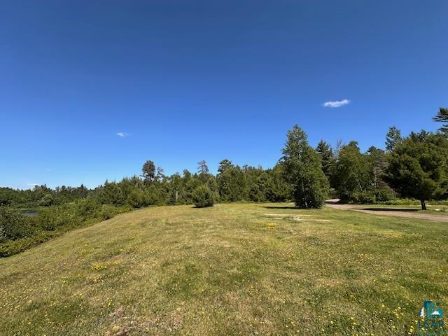 1383 Kelly Trail Isabella, MN 55607 - Photo 30 of 40 View of undeveloped land