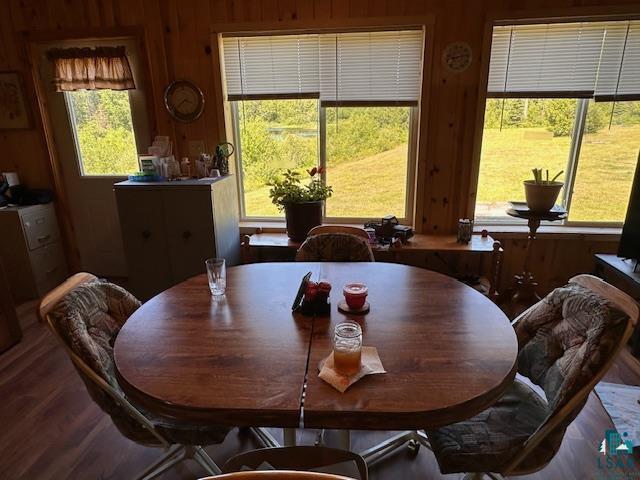 1383 Kelly Trail Isabella, MN 55607 - Photo 7 of 40 Dining space featuring healthy amount of natural light, wood finished floors, and wooden walls