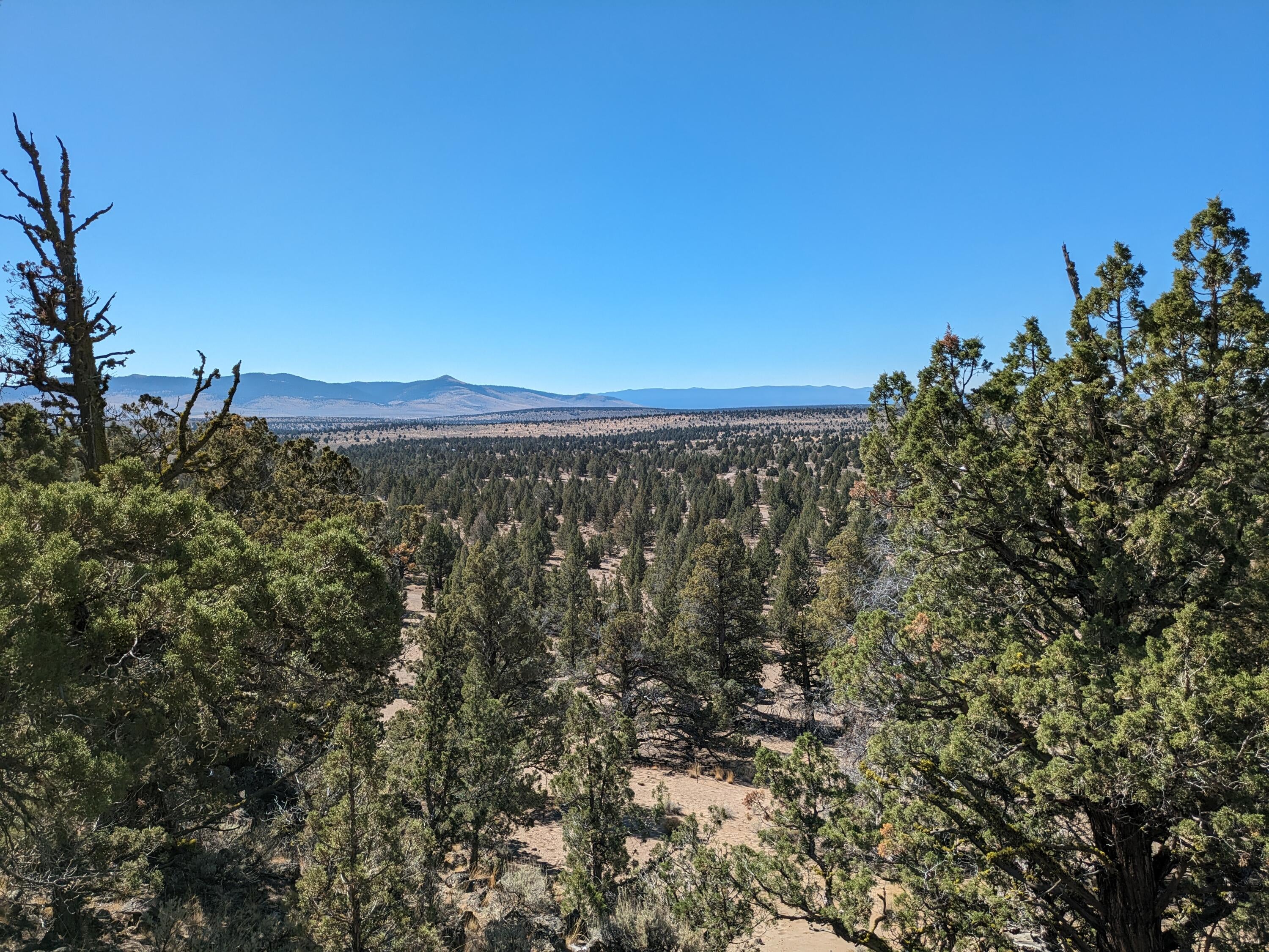 Goldenview Ranch Bend, Unit 200 Bend, OR 97701 - Photo 1 of 20 Spectacular views looking southwest from Lot 200