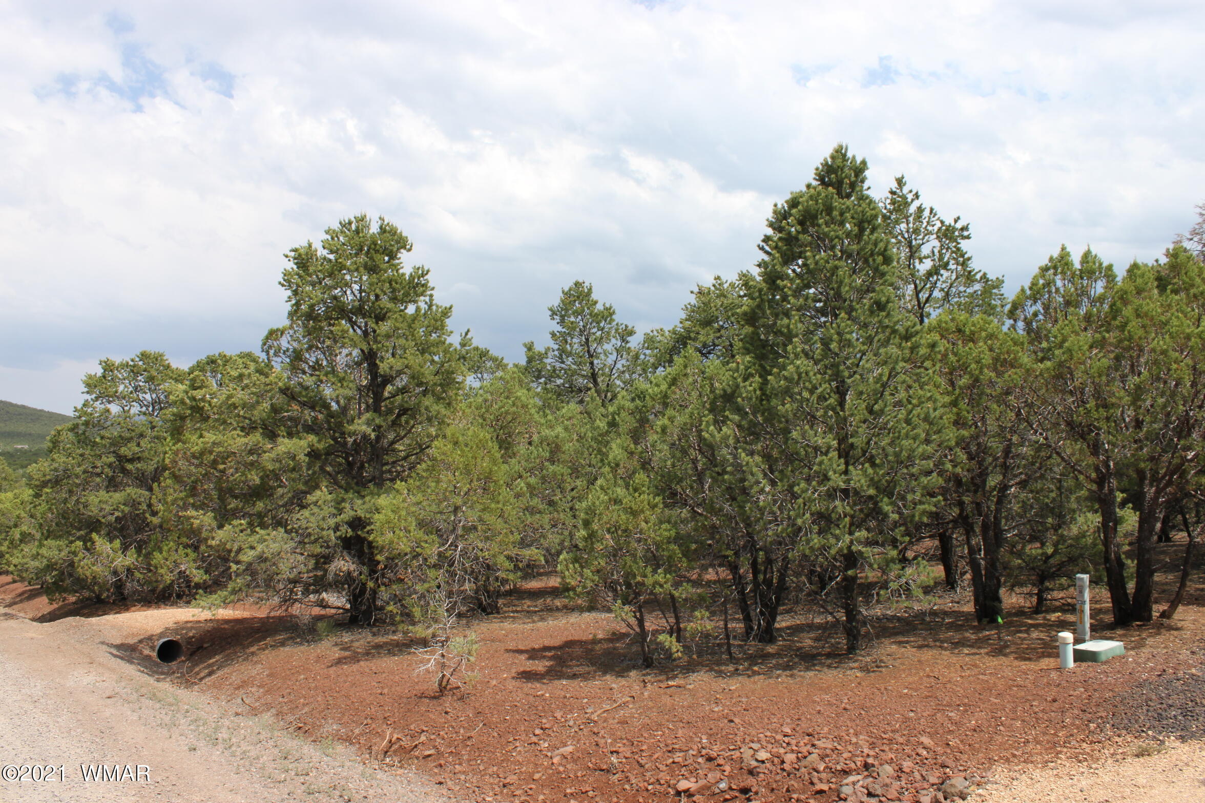 6 Co Road Vernon, AZ 85940 - Photo 3 of 7 Gallery Image 3