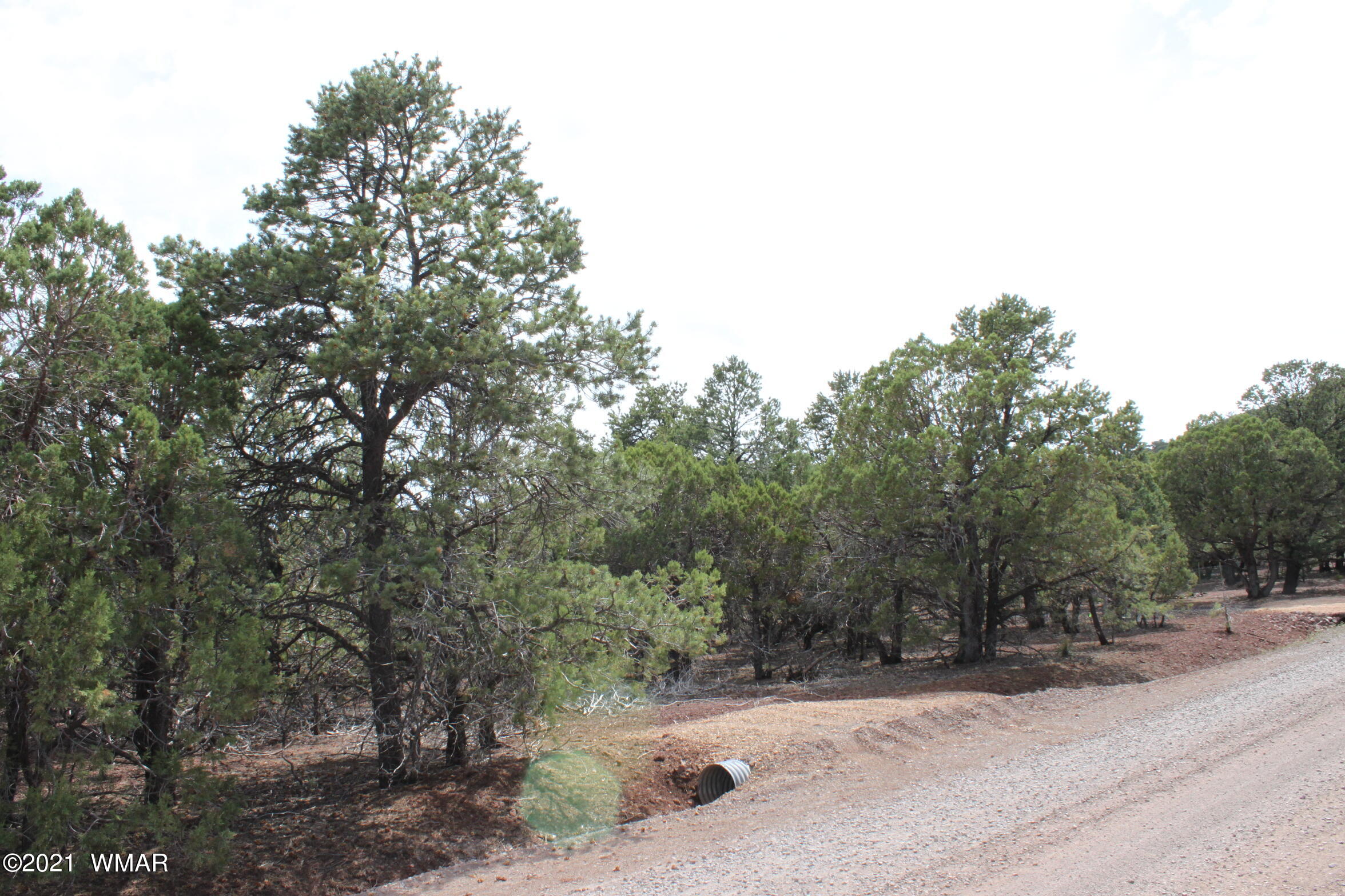 6 Co Road Vernon, AZ 85940 - Photo 7 of 7 Gallery Image 7