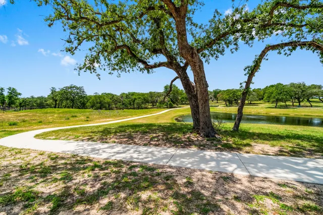 a view of a yard with a tree