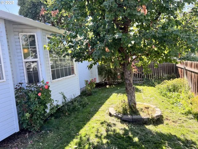 a view of a backyard with garden