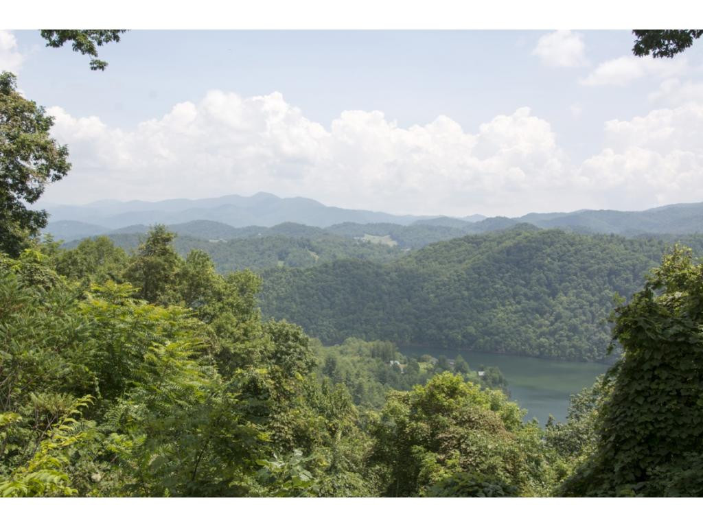 278 Cable Hollow Road Butler, TN 37640 - Photo 3 of 25 Photo 3