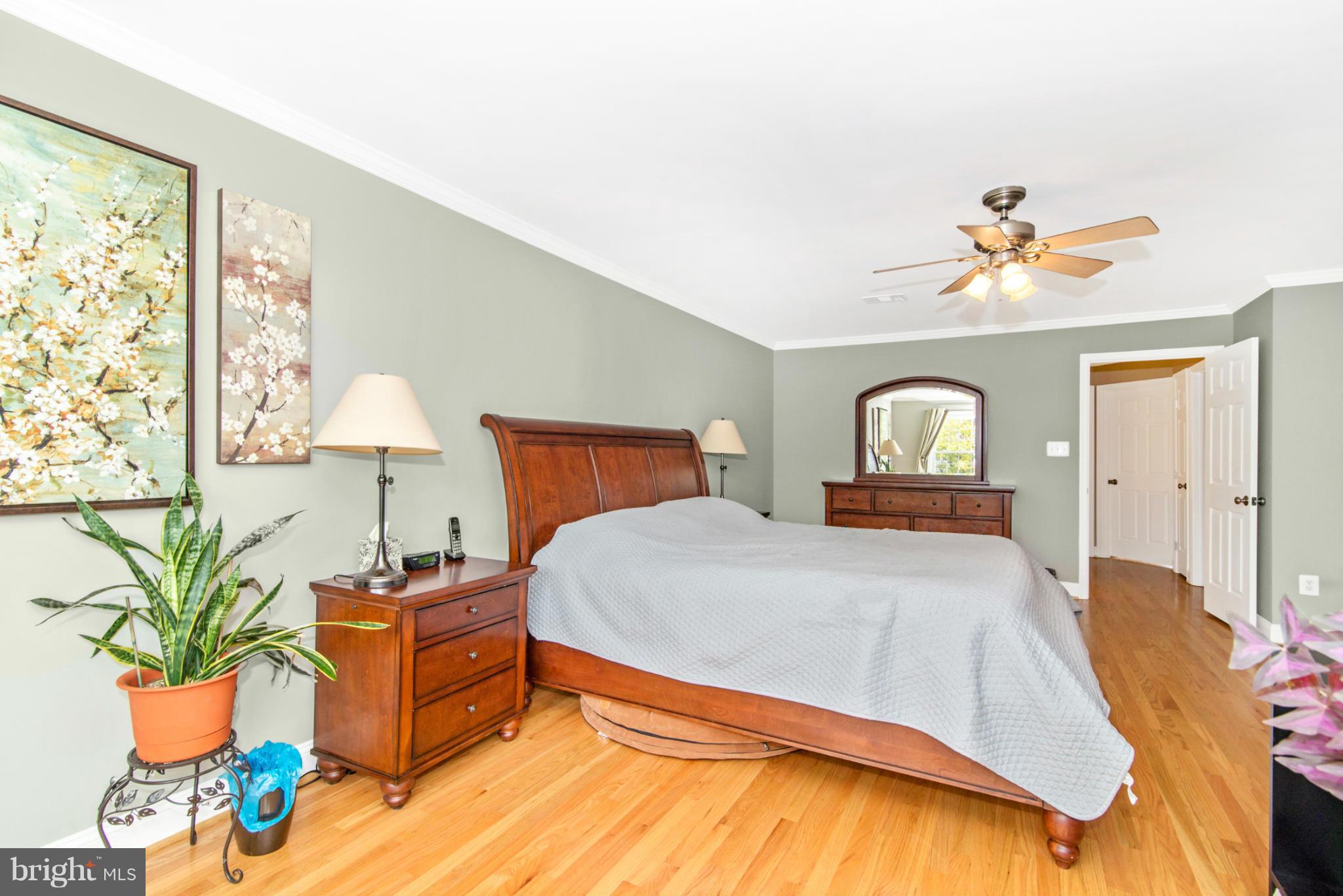 1830 Country Run Way Frederick, MD 21702 - Photo 18 of 30 Spacious Master Bedroom