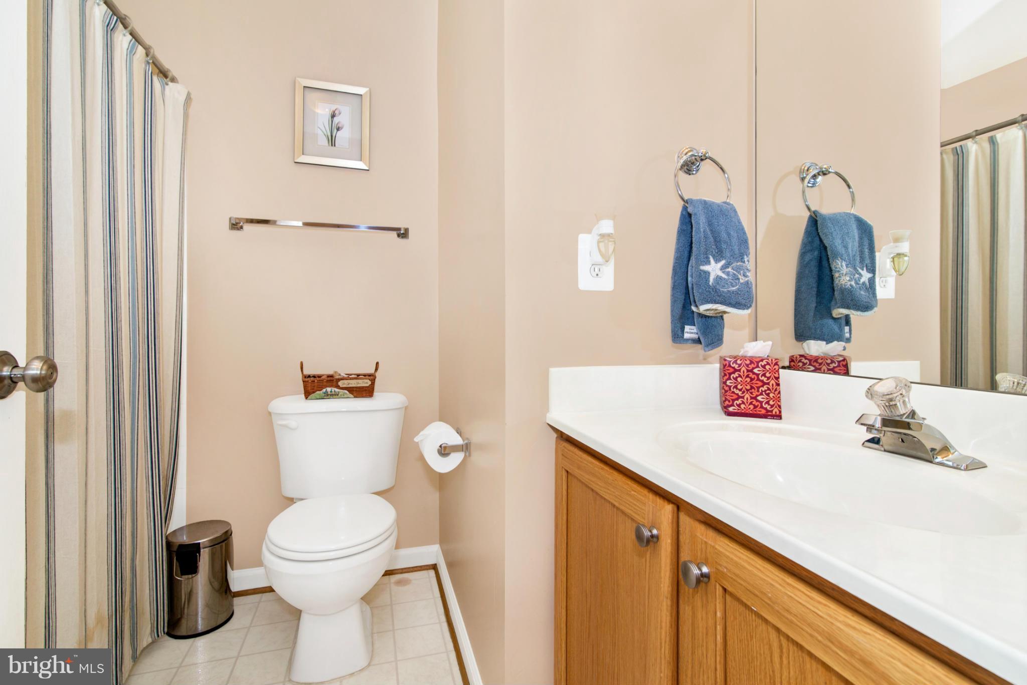 1830 Country Run Way Frederick, MD 21702 - Photo 25 of 30 Upper Level Hall Bathroom