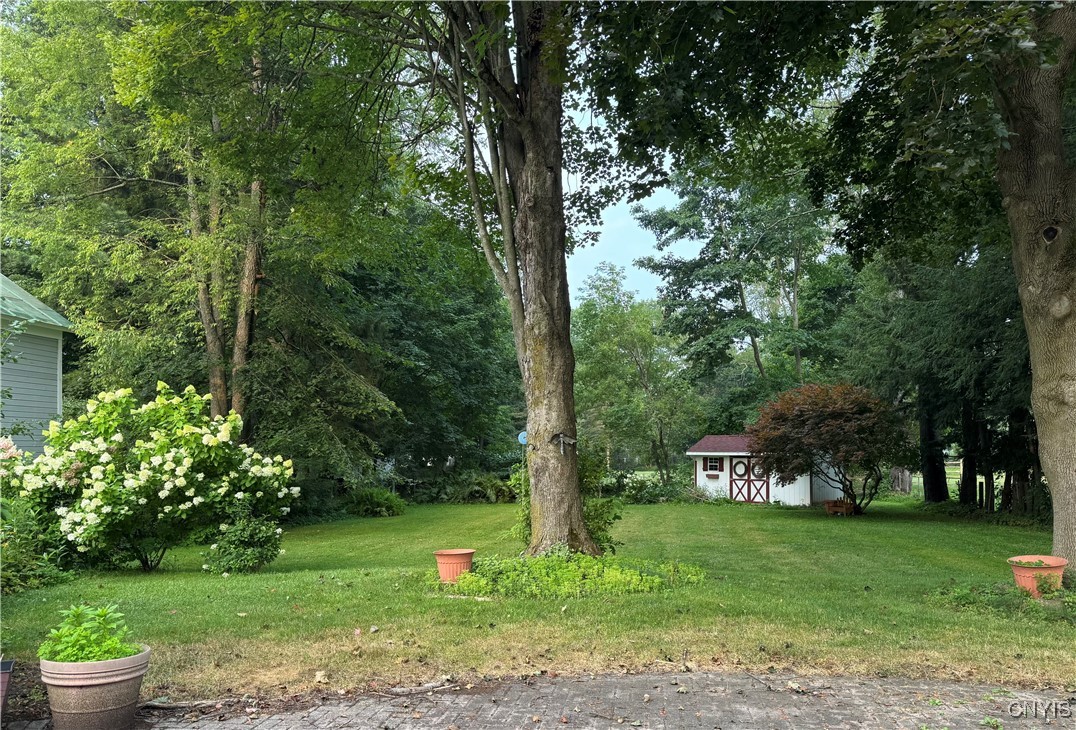 34 University Avenue Hamilton, NY 13346 - Photo 6 of 35