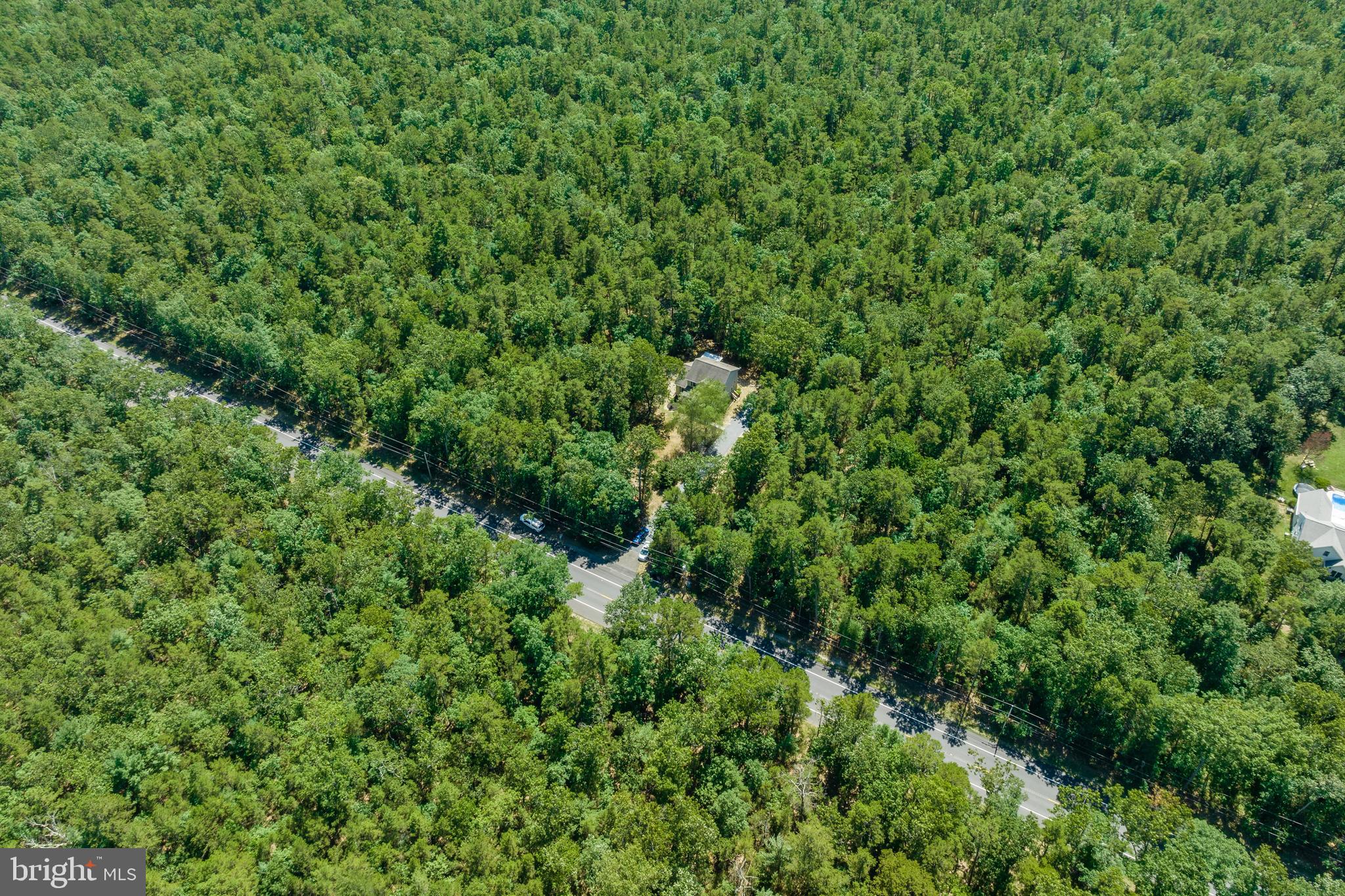 912 Magnolia Road Southampton, NJ 08088 - Photo 48 of 53 Woods as far as the eye can see