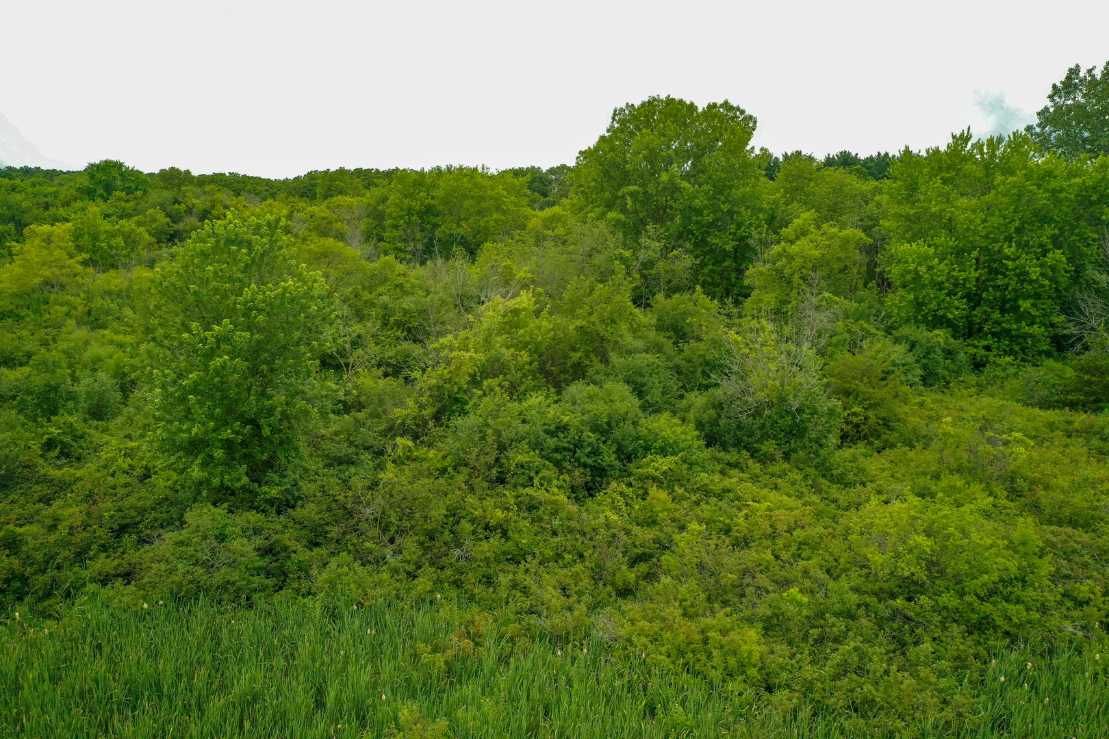 3981 South Chana Road Chana, IL 61015 - Photo 17 of 63