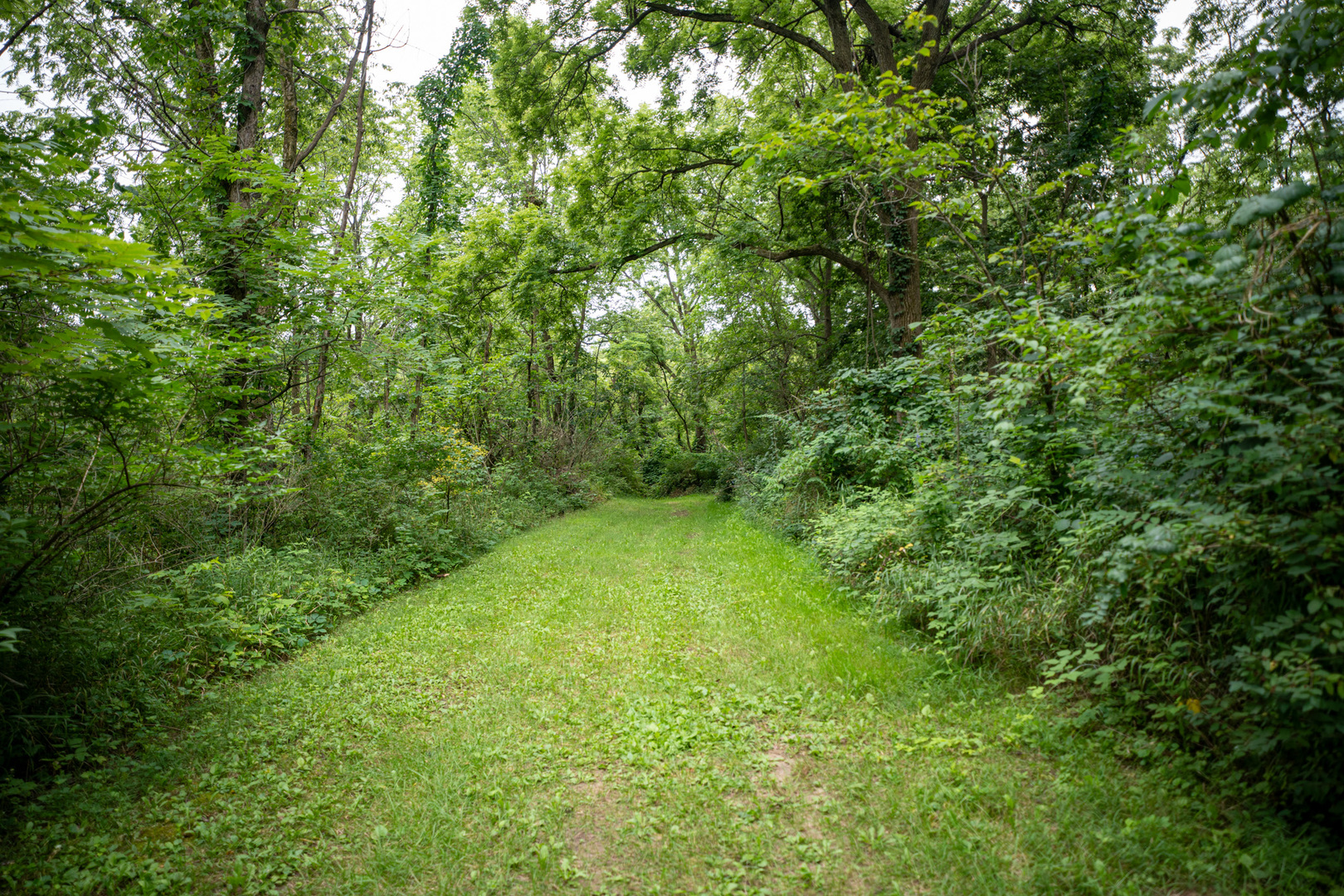 3981 South Chana Road Chana, IL 61015 - Photo 50 of 63
