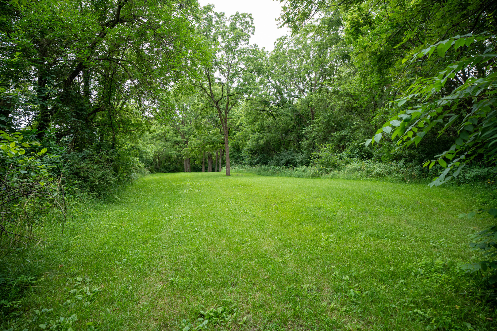 3981 South Chana Road Chana, IL 61015 - Photo 52 of 63