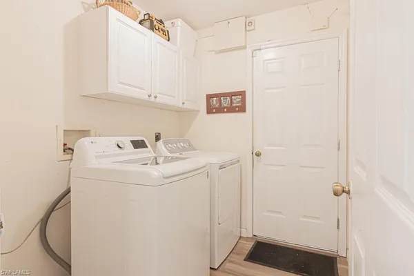 a view of a yard with plants and trees