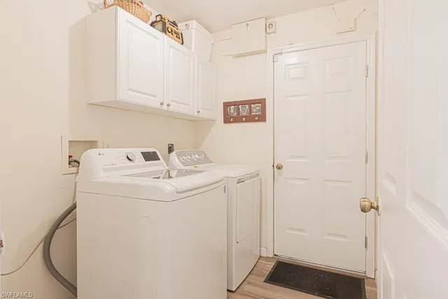 a view of a yard with plants and trees