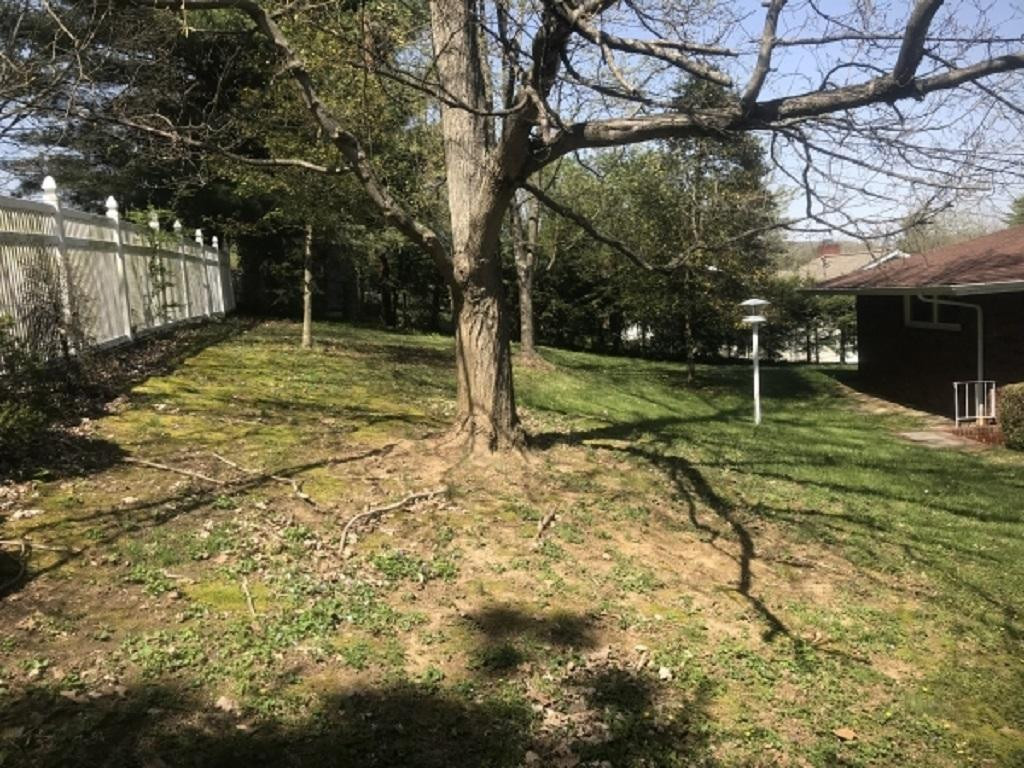 324 Ridgefields Road Kingsport, TN 37660 - Photo 5 of 25 Photo 5