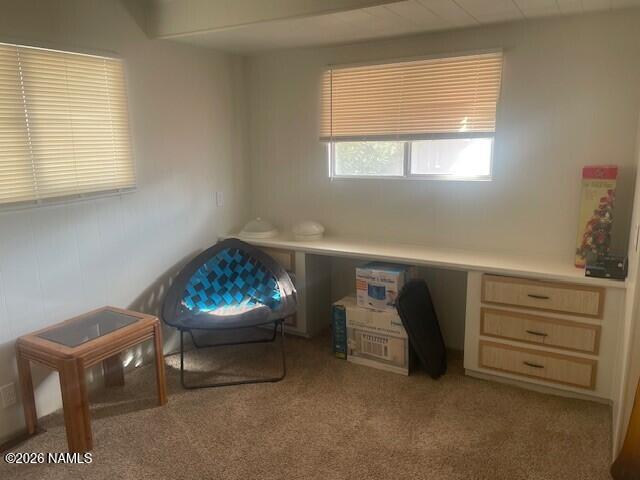 4315 North Flowing Wells Road Tucson, AZ 85705 - Photo 7 of 8 bedroom-2