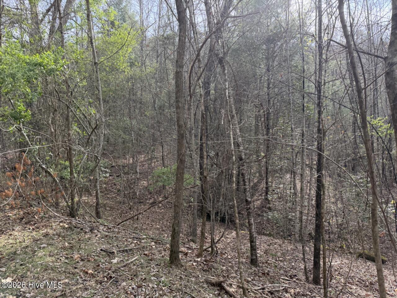 0 Ogreeta Road Murphy, NC 28906 - Photo 6 of 47