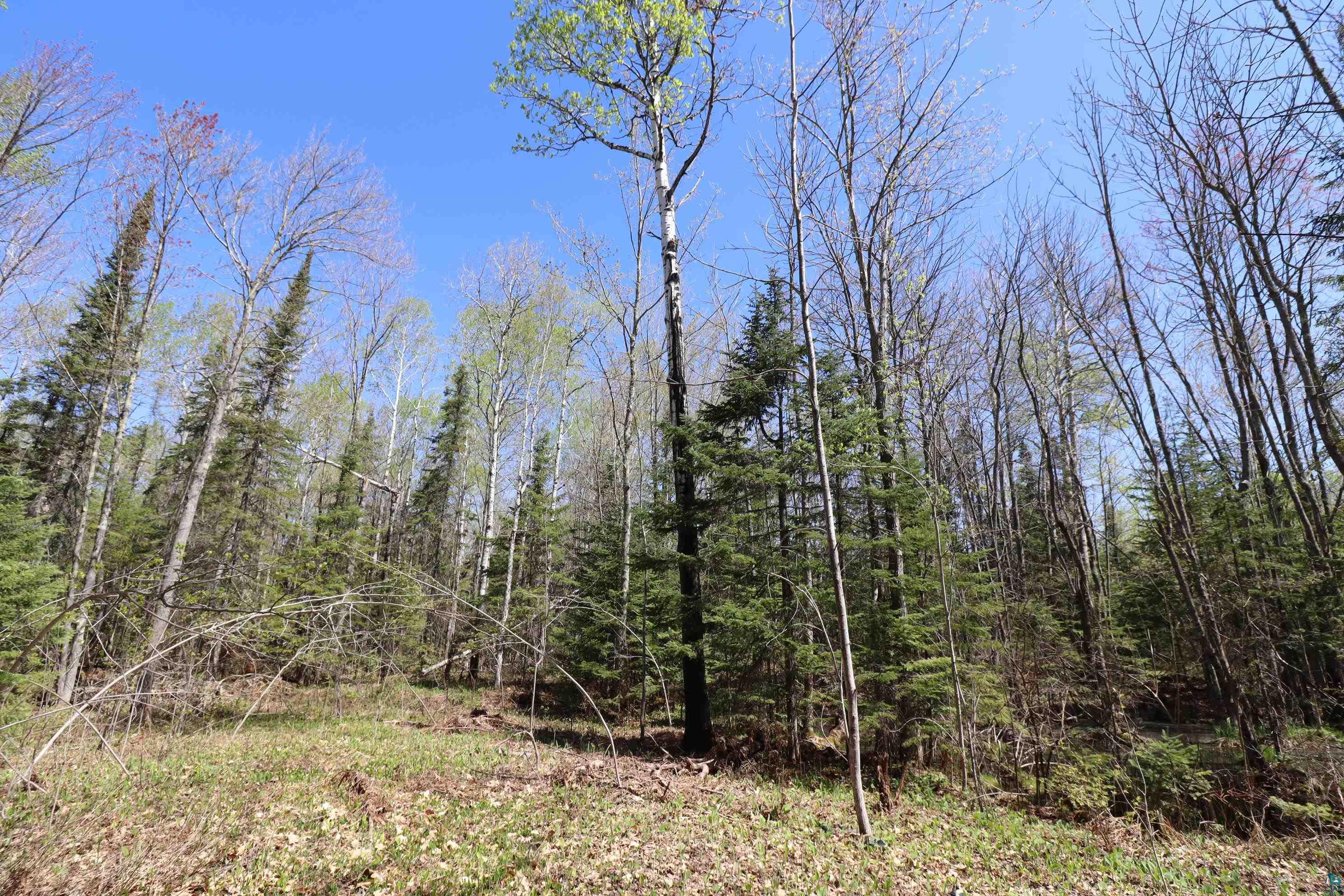 23540 State Highway 13 Cornucopia, WI 54827 - Photo 34 of 40 Wooded Seclusion