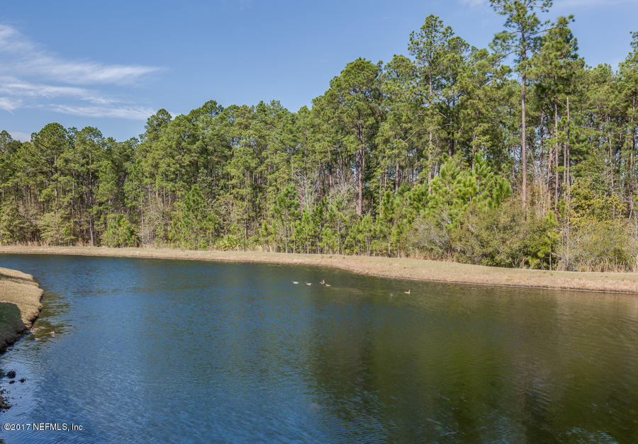 9141 Raptor Drive Jacksonville, FL 32221 - Photo 25 of 25 a view of a lake from a yard
