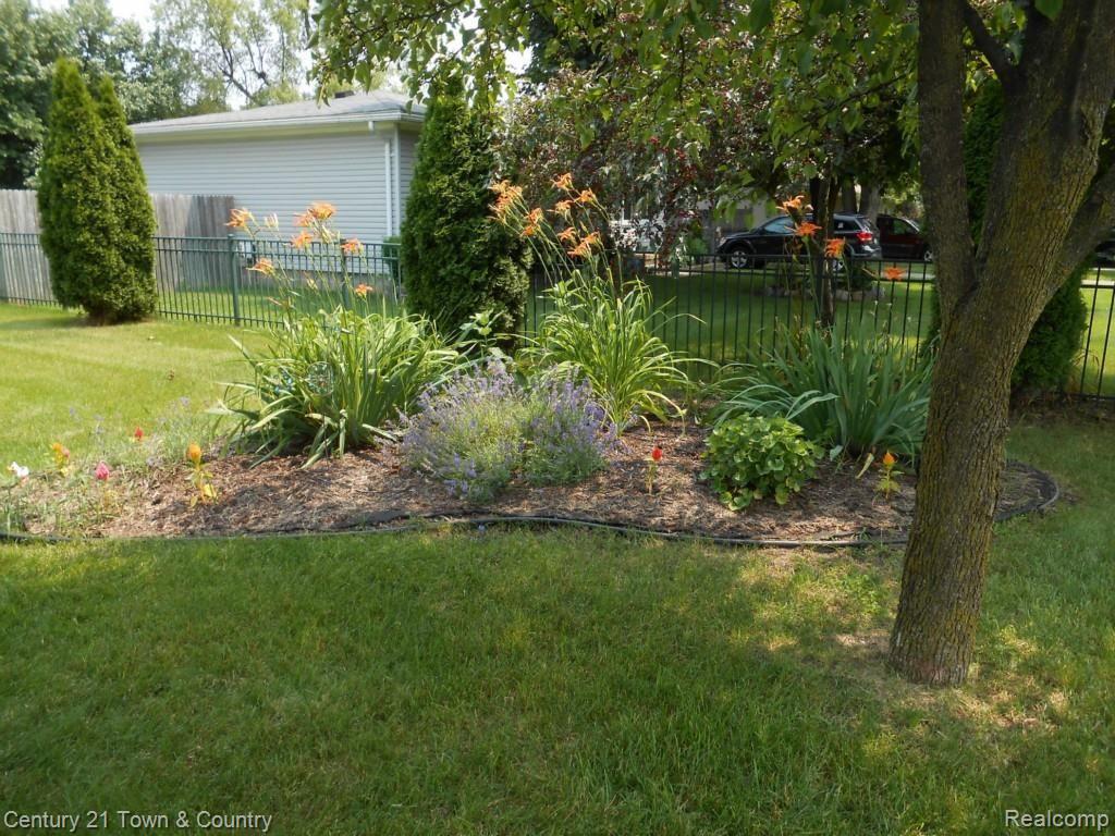 2443 Gerald Avenue Rochester, MI 48307 - Photo 56 of 56 Yard 4.jpg