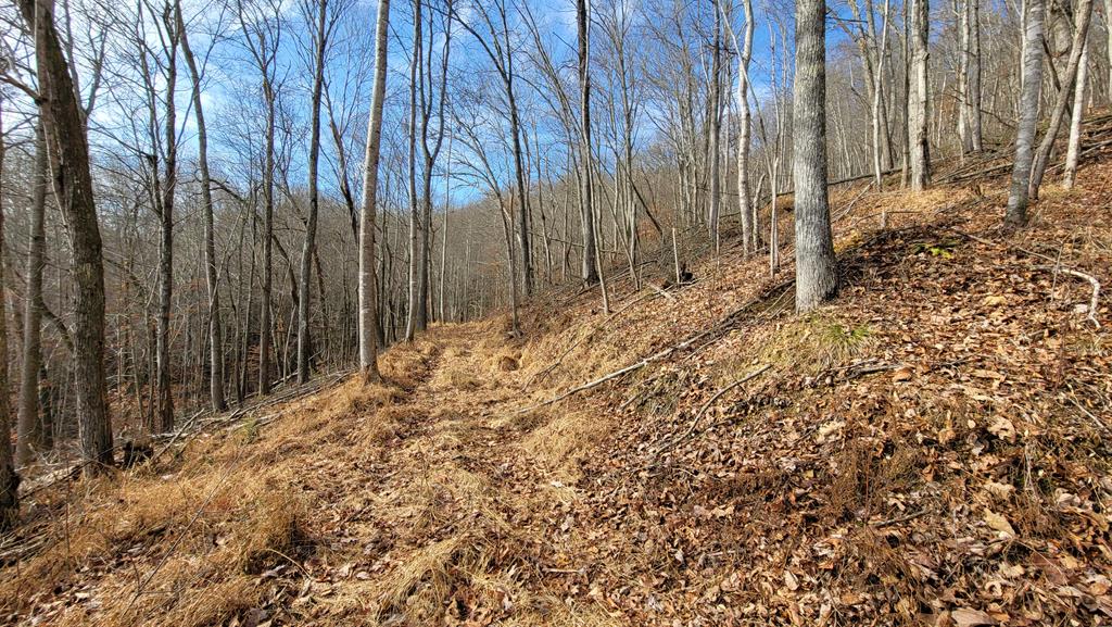Tbd Mendota Road, Unit 5 & 6 Abingdon, VA 24210 - Photo 36 of 42 Gallery Image 36