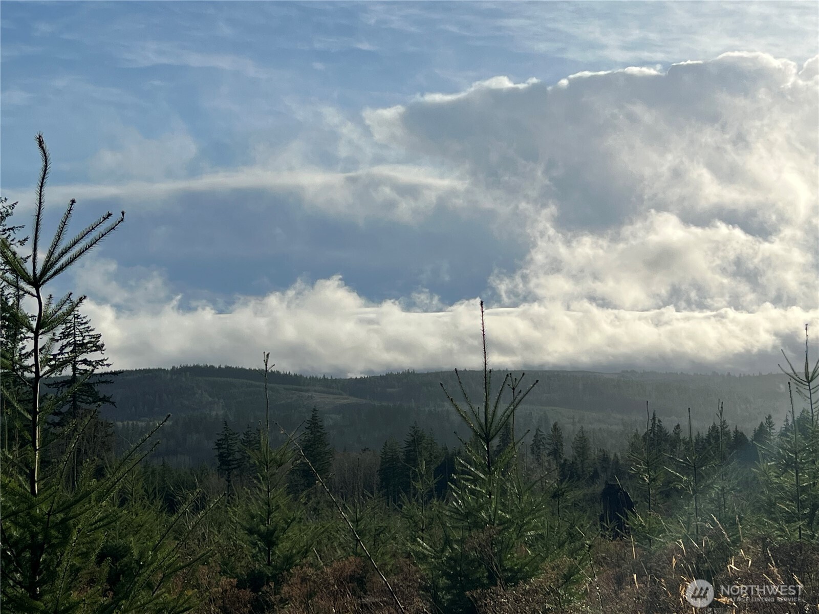 2-xxx Snow Creek Road Quilcene, WA 98376 - Photo 8 of 29