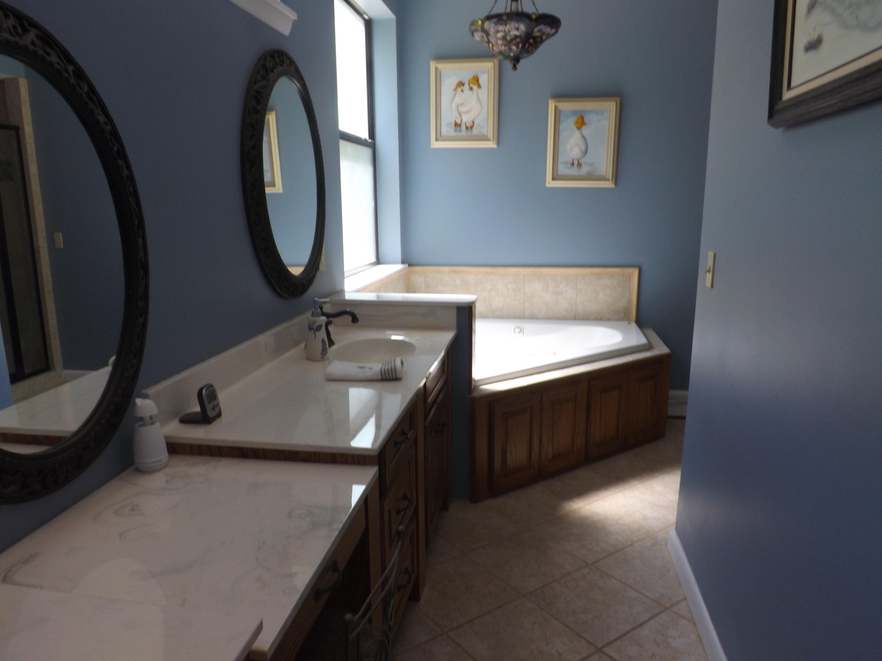 775 Vineyard Point Road Sequatchie, TN 37374 - Photo 17 of 36 Master bath
