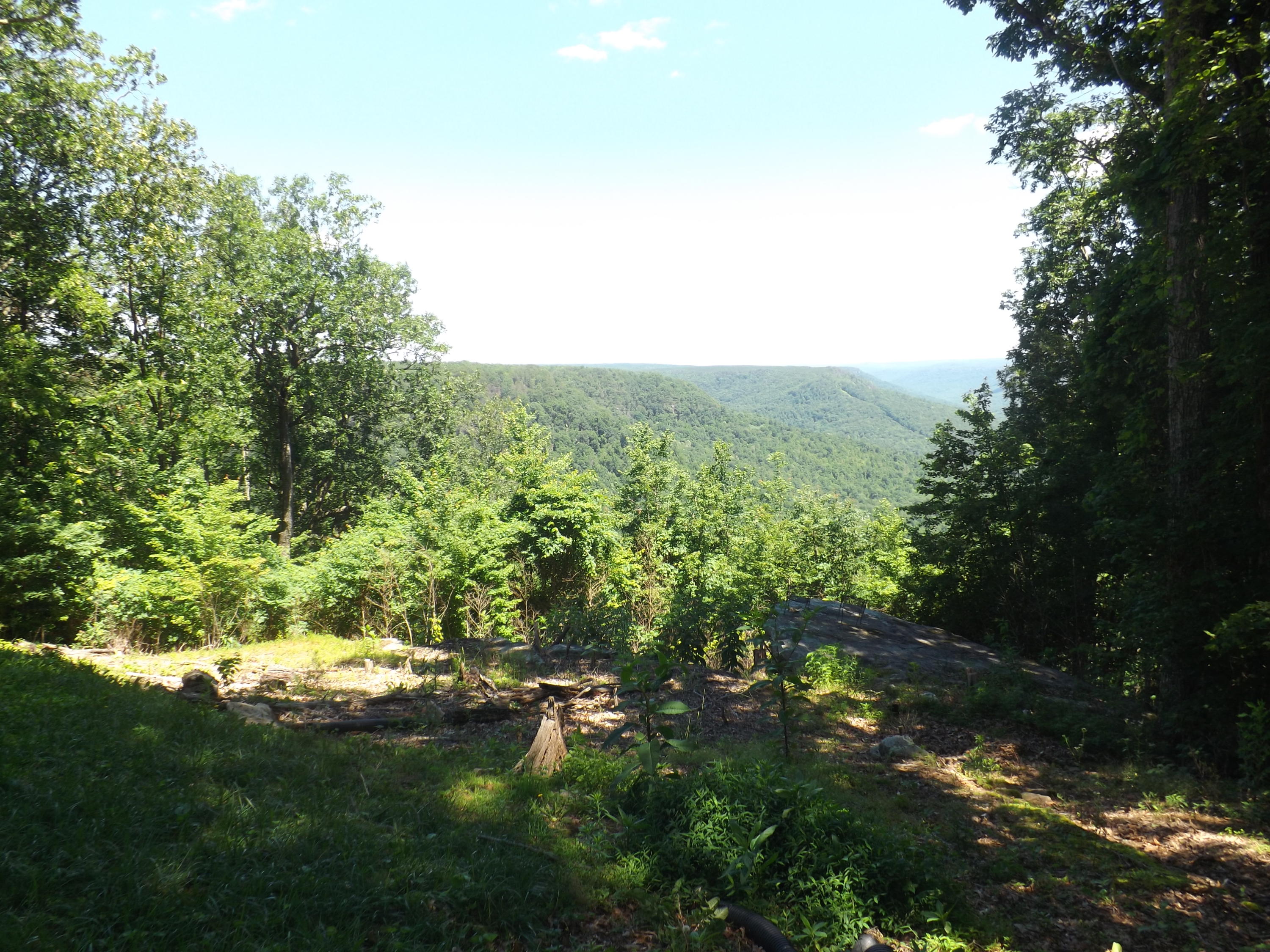 775 Vineyard Point Road Sequatchie, TN 37374 - Photo 32 of 36 View #2