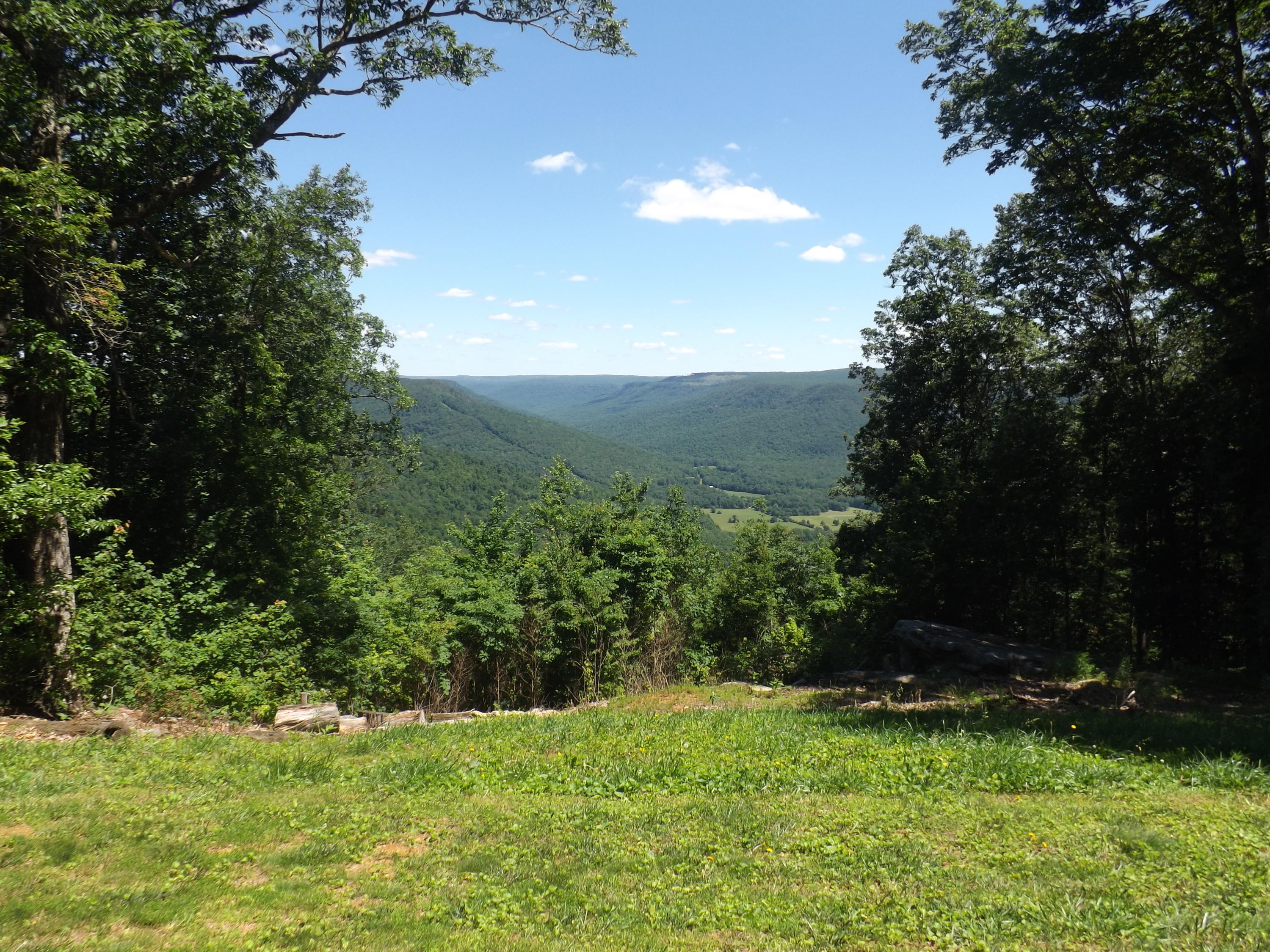 775 Vineyard Point Road Sequatchie, TN 37374 - Photo 33 of 36 View #3
