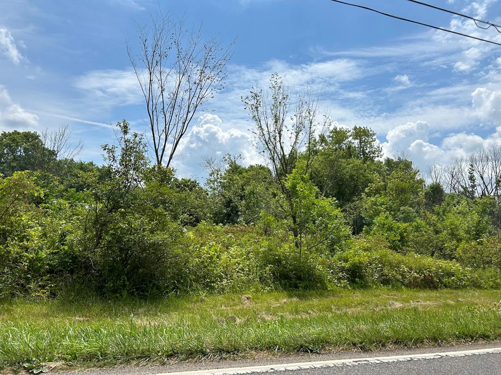 Tbd Tbd Chiswell Road, Unit 922 2731 Max Meadows, VA 24360 - Photo 1 of 3 Gallery Image 1
