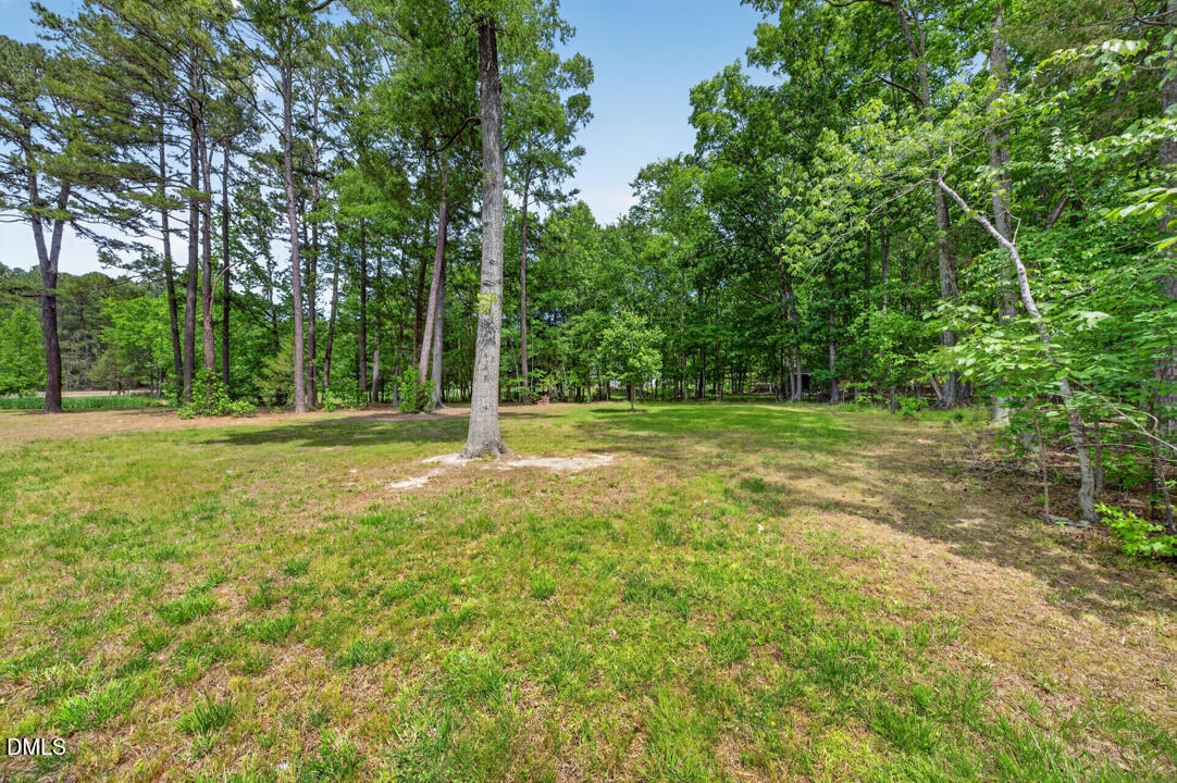 184 Fire Tower Drive Rougemont, NC 27572 - Photo 35 of 41