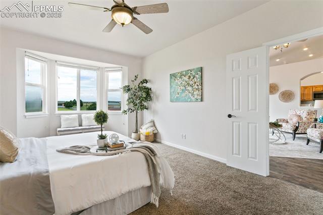 13775 Woodlake Road Elbert, CO 80106 - Photo 20 of 44 Carpeted bedroom featuring baseboards and a ceiling fan