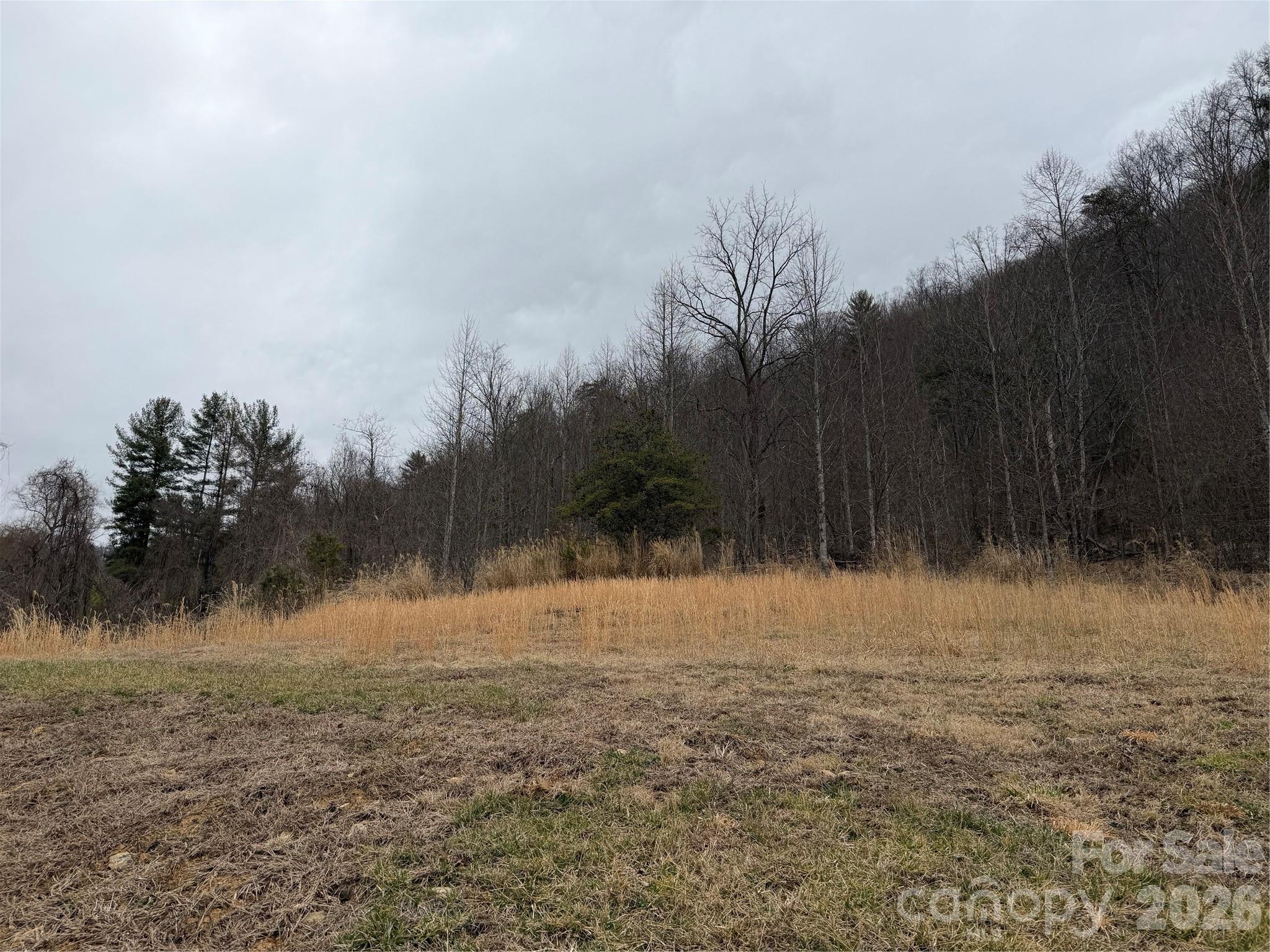 4958 Grapevine Road Marshall, NC 28753 - Photo 13 of 43 a view of open area with green space