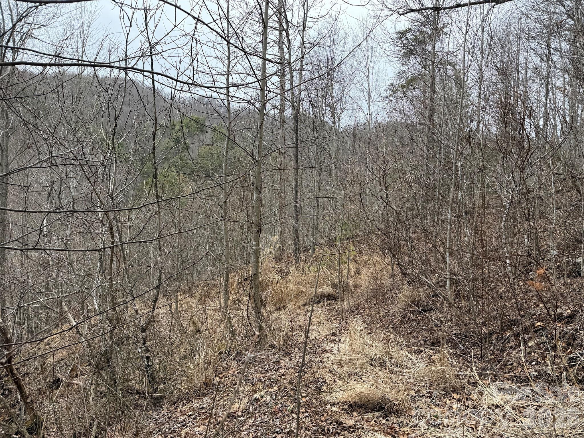 4958 Grapevine Road Marshall, NC 28753 - Photo 15 of 43 a bathroom with a shower