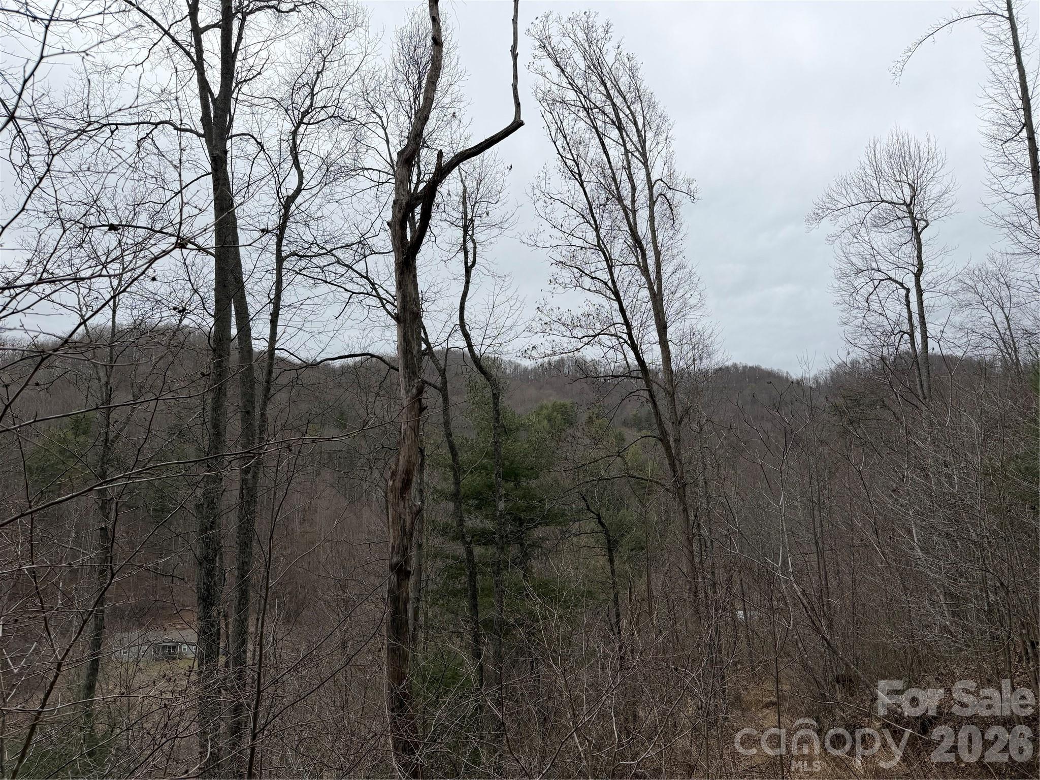 4958 Grapevine Road Marshall, NC 28753 - Photo 18 of 43 a view of a backyard of the house