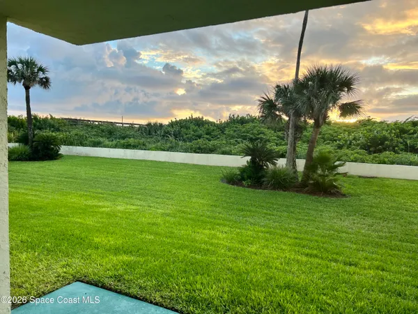a view of a big yard with a palm tree