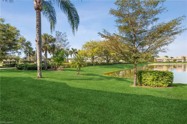 a view of a park with large trees
