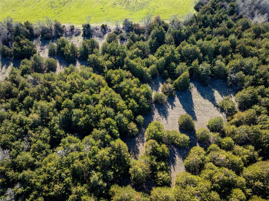 1500 County Road 24800 Brookston, TX 75421 - Photo 11 of 23 a view of a city
